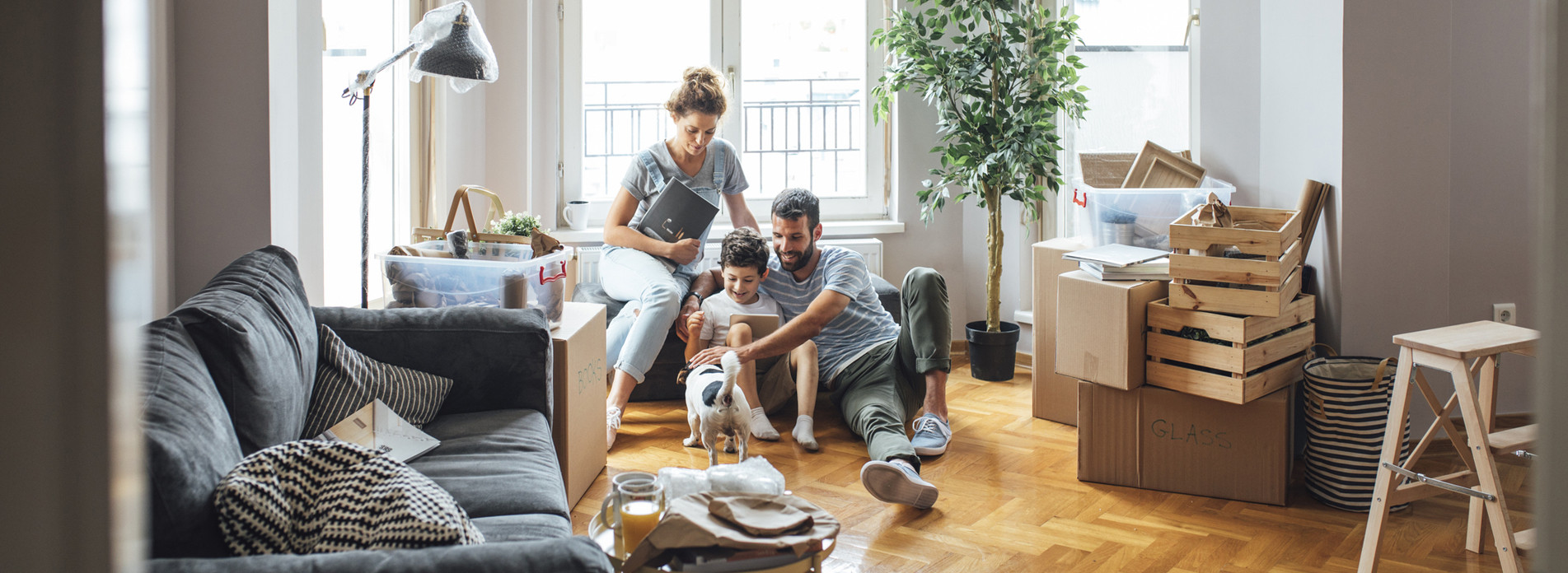 Clevit01 à Oyonnax, membre du réseau expert Vachette